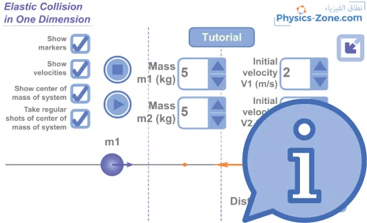 Simulation Manual: Elastic Collision in One Dimension