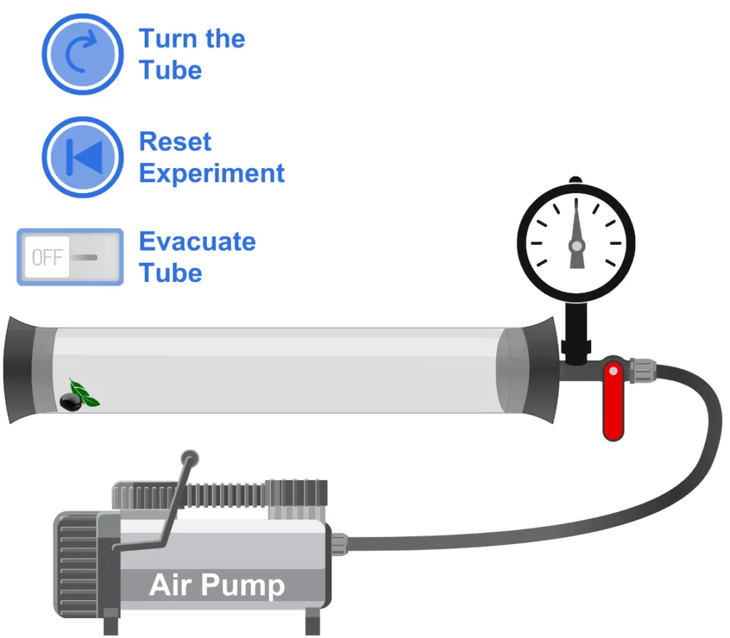 Newton's Tube Simulation