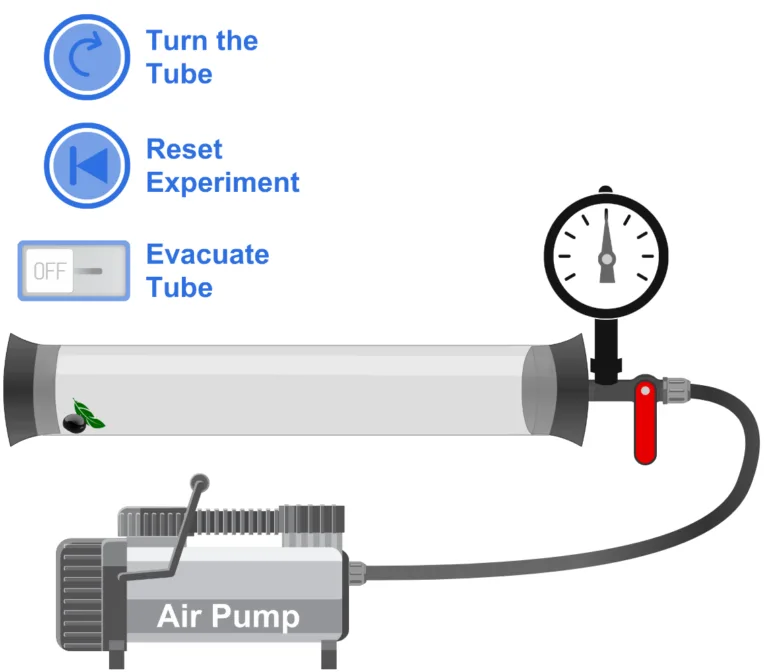 Newton's Tube Simulation