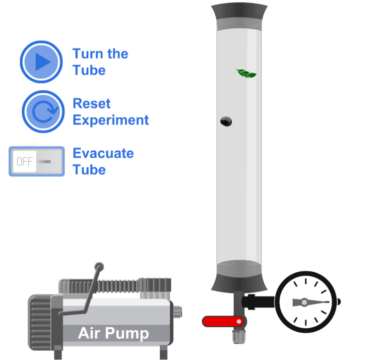 Newton's Tube Simulation